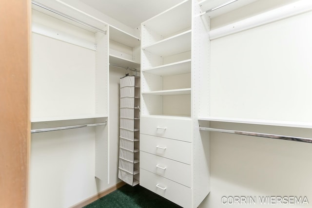 view of spacious closet