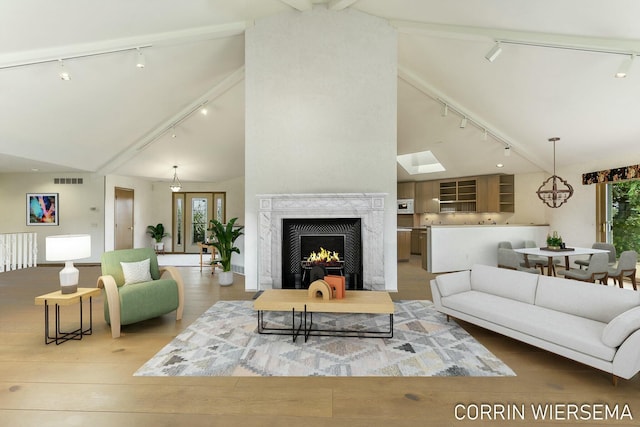 living area featuring wood finished floors, rail lighting, a healthy amount of sunlight, a fireplace, and high vaulted ceiling