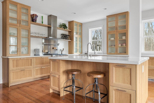 kitchen with wood finished floors, light countertops, plenty of natural light, and extractor fan