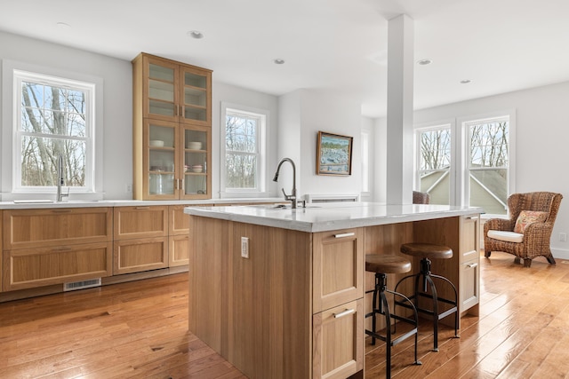 kitchen with a healthy amount of sunlight, visible vents, a sink, and light wood finished floors