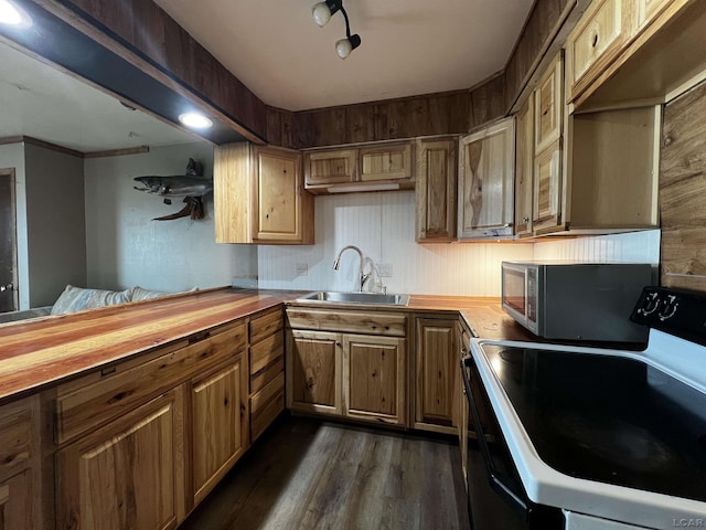 kitchen with range with electric cooktop, stainless steel microwave, dark wood-type flooring, wooden counters, and a sink