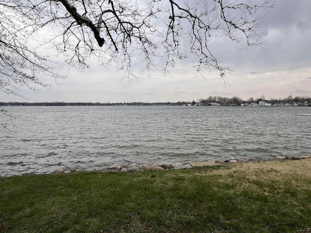 11698 Elm Park Dr, Manitou Beach, MI 49253 - water view
