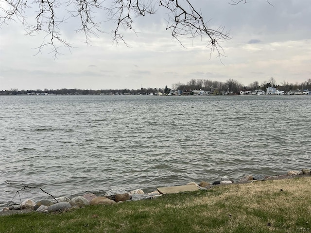 11698 Elm Park Dr, Manitou Beach, MI 49253 - water view