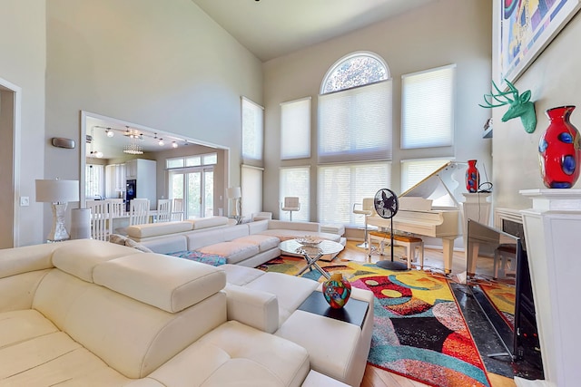 living area featuring a towering ceiling and wood finished floors