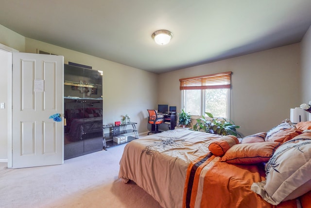 carpeted bedroom with a spacious closet and a closet