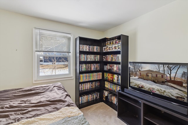 bedroom featuring light colored carpet