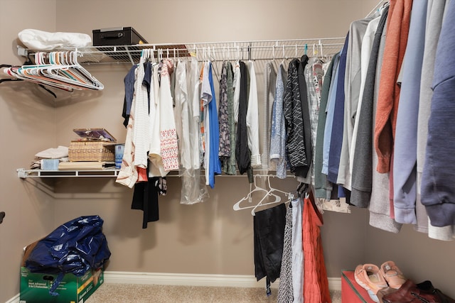 walk in closet featuring carpet flooring