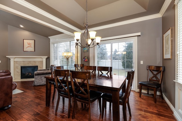 dining area featuring a wealth of natural light, dark wood-type flooring, and a high end fireplace