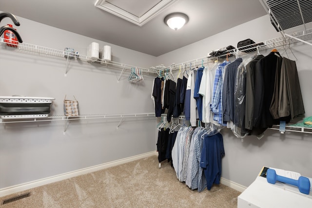 walk in closet with attic access, carpet, and visible vents