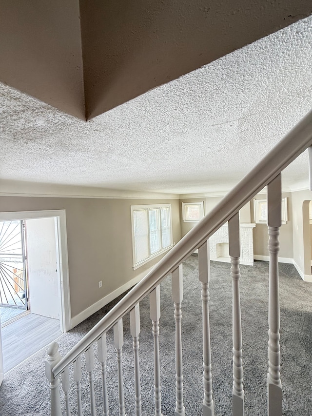 stairway featuring a wealth of natural light, carpet flooring, and a textured ceiling