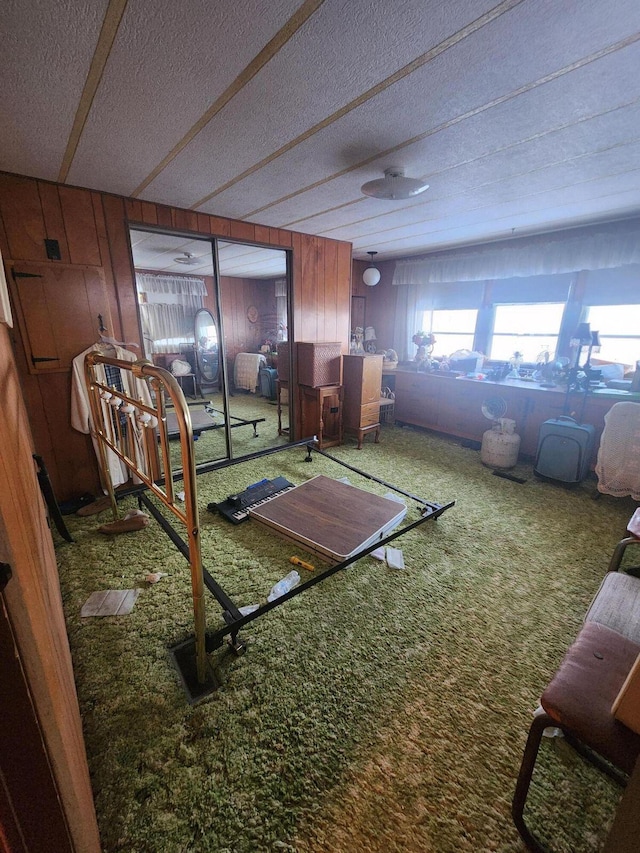 miscellaneous room with wood walls, carpet, and a textured ceiling