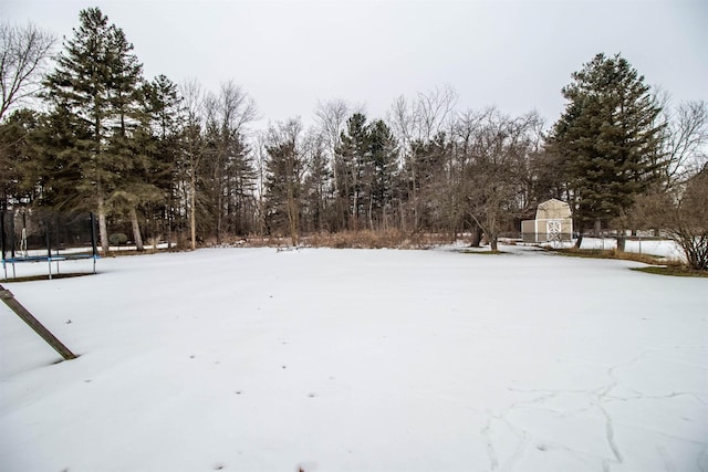 yard covered in snow with a trampoline