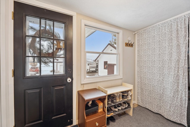 doorway with carpet flooring