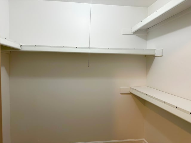 view of walk in closet