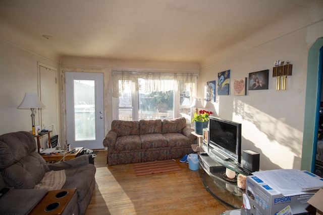 living room with wood finished floors