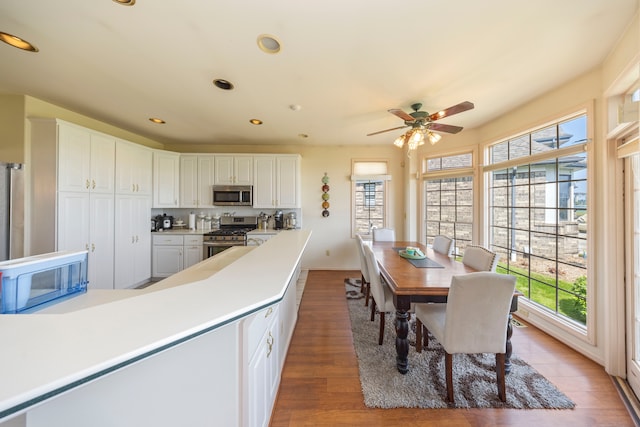 kitchen with stainless steel appliances, wood finished floors, a wealth of natural light, and white cabinetry