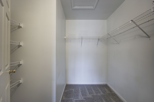 walk in closet featuring carpet floors and attic access