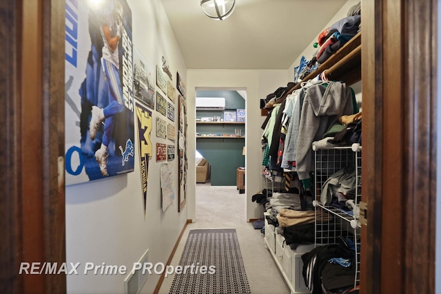 walk in closet featuring carpet flooring