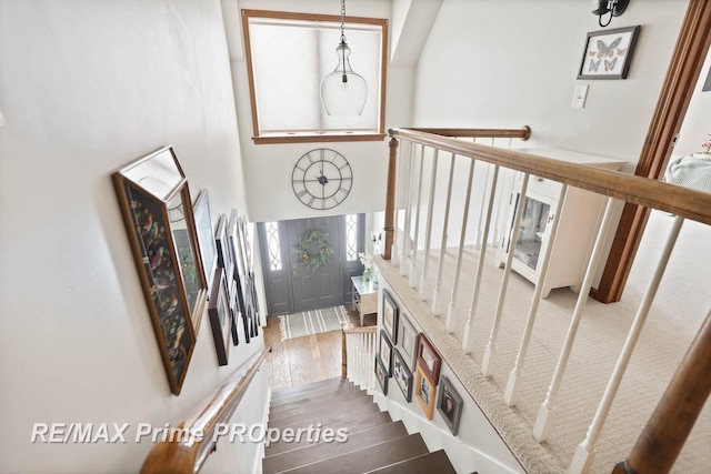 staircase featuring wood finished floors