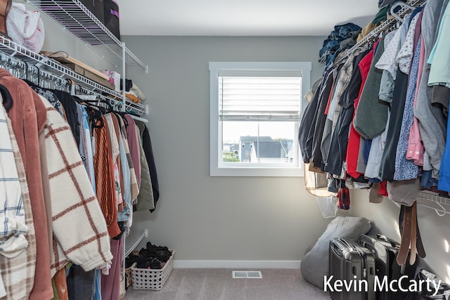 walk in closet with visible vents and carpet flooring