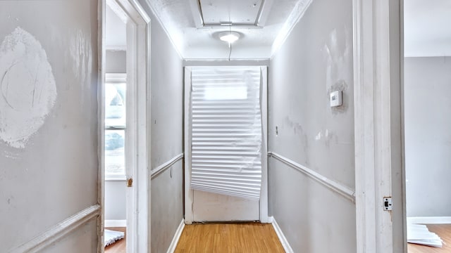 entryway with baseboards and wood finished floors