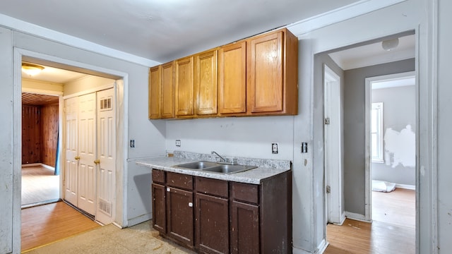 kitchen featuring light countertops, a sink, visible vents, and light wood-style floors