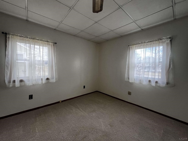 unfurnished room with a paneled ceiling, carpet, plenty of natural light, and baseboards