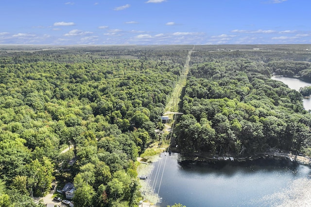 bird's eye view with a water view and a wooded view