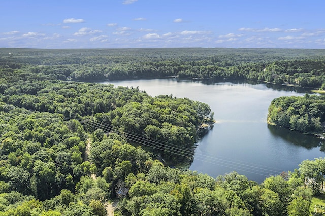 birds eye view of property with a water view and a view of trees