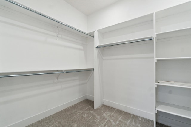 spacious closet with carpet