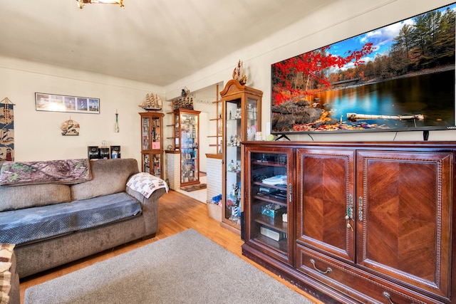 living room with wood finished floors