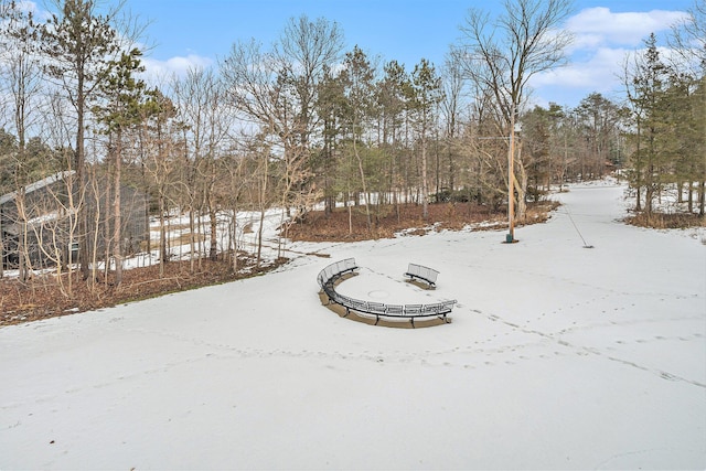 view of snowy yard