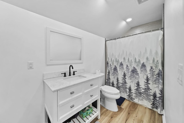 7450 Sears Rd, Horton, MI 49246 - bathroom with visible vents, toilet, vanity, wood finished floors, and a shower with curtain