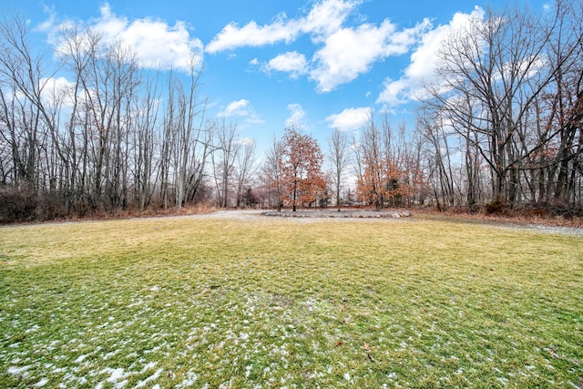 7450 Sears Rd, Horton, MI 49246 - view of yard