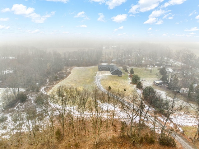 7450 Sears Rd, Horton, MI 49246 - bird's eye view featuring a rural view