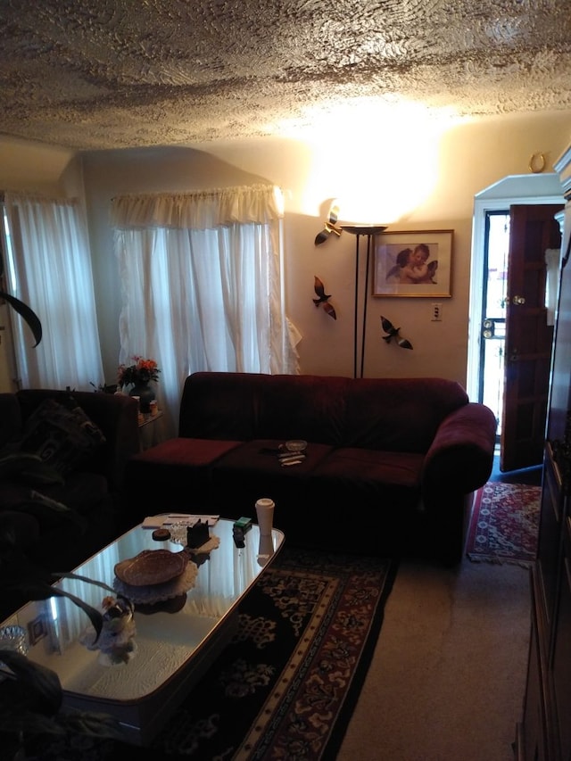 carpeted living area featuring a textured ceiling