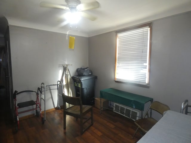 misc room featuring wood finished floors and a ceiling fan