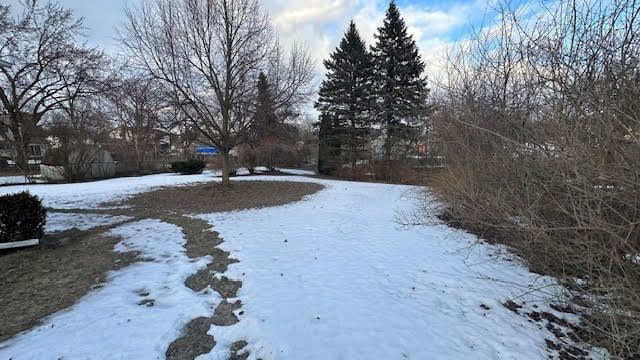 view of yard covered in snow