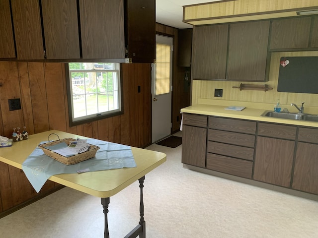 7004 Walnut Hill Rd, Manitou Beach, MI 49253 - kitchen with a sink, light countertops, and wooden walls