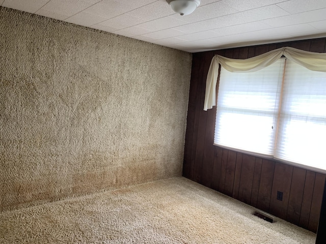 7004 Walnut Hill Rd, Manitou Beach, MI 49253 - spare room featuring wood walls and carpet