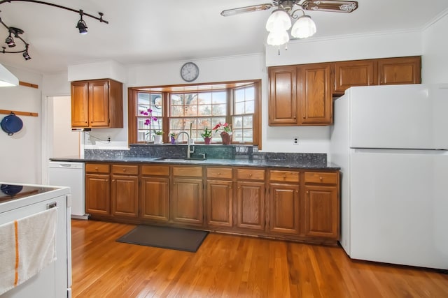 kitchen with white appliances, a sink, light wood finished floors, brown cabinetry, and crown molding