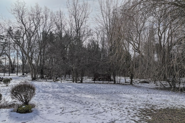 view of snowy yard