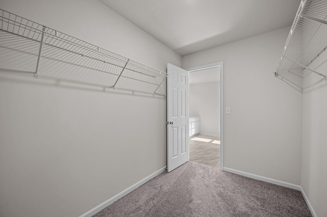4278 Oak St, Grand Blanc, MI 48439 - spacious closet with light carpet
