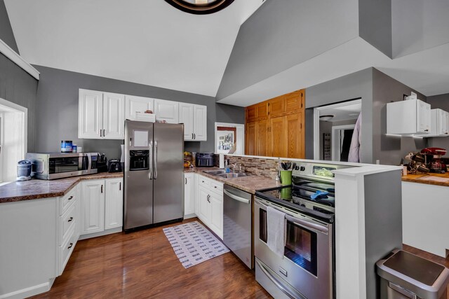 12260 183rd Ave, Big Rapids, MI 49307 - kitchen featuring appliances with stainless steel finishes, a peninsula, vaulted ceiling, a sink, and dark wood-type flooring
