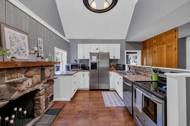 12260 183rd Ave, Big Rapids, MI 49307 - kitchen featuring appliances with stainless steel finishes, a sink, high vaulted ceiling, a peninsula, and dark wood finished floors
