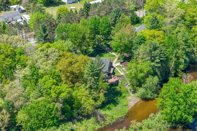 12260 183rd Ave, Big Rapids, MI 49307 - drone / aerial view