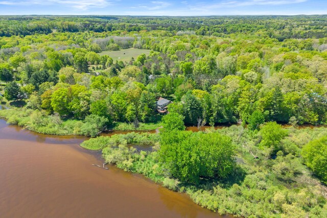 12260 183rd Ave, Big Rapids, MI 49307 - aerial view of a forest and a large body of water