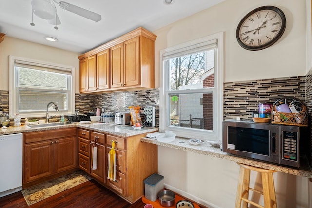 kitchen featuring a sink, a healthy amount of sunlight, stainless steel microwave, and dishwasher