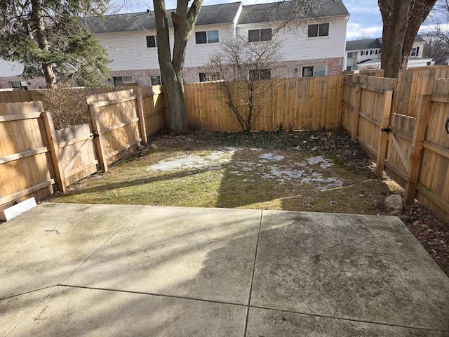 view of yard featuring a patio area and a fenced backyard