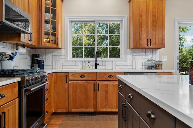 kitchen featuring tasteful backsplash, glass insert cabinets, appliances with stainless steel finishes, light countertops, and a sink